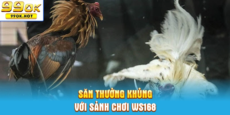 Săn thưởng khủng với sảnh chơi WS168 Săn thưởng khủng với sảnh chơi WS168